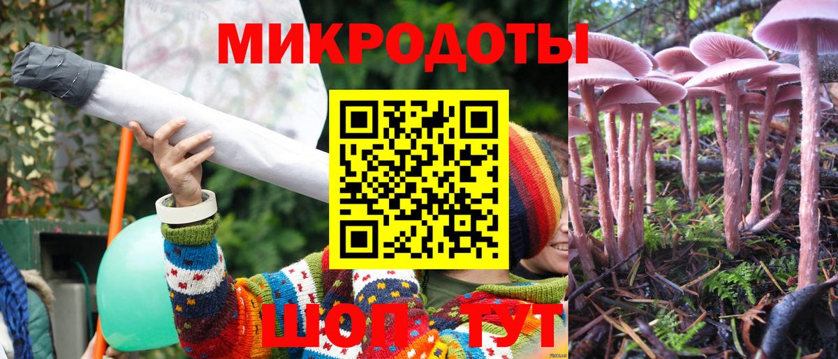 Галлюциногенные грибы GOLDEN TEACHER  Вход с VPN  Оренбург 